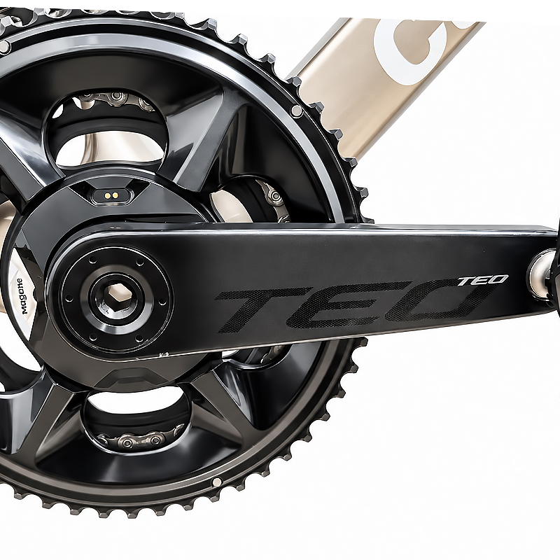 Spider Power Meter 110 Bcd - Magene TEO P515 Carbon Fiber Crankset