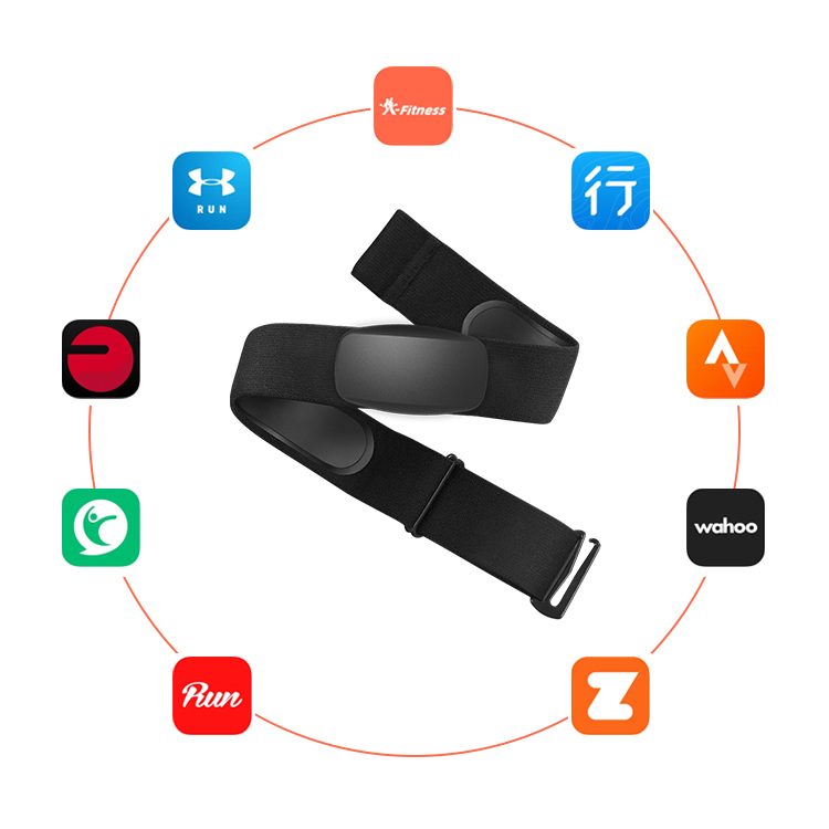 BLE5.0 ANT+ Heart Rate Monitor - Heart Rate Monitor Chest Strap Ant+ ulasan dan harga
