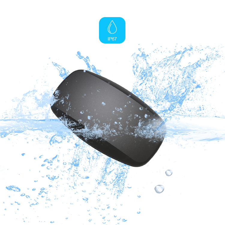 BLE5.0 ANT+ Heart Rate Monitor - Heart Rate Monitor Chest Strap Ant+ ulasan dan harga