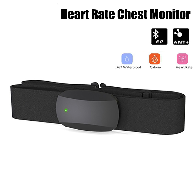 Heart Rate Chest Monitor Bluet - Heart Rate Monitor Chest Strap Ant+ ulasan dan harga